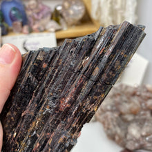 Bild in Galerie-Viewer laden, Black Tourmaline with Muscovite Rough #17