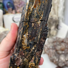 Bild in Galerie-Viewer laden, Black Tourmaline with Muscovite Rough #17