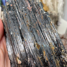 Bild in Galerie-Viewer laden, Black Tourmaline with Muscovite Rough #17
