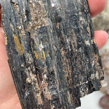 Bild in Galerie-Viewer laden, Black Tourmaline with Muscovite Rough #17