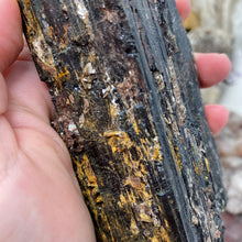 Bild in Galerie-Viewer laden, Black Tourmaline with Muscovite Rough #17