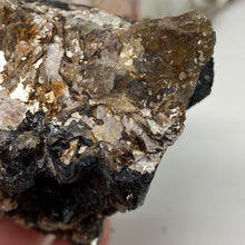 Bild in Galerie-Viewer laden, Black Tourmaline with Muscovite Rough #18
