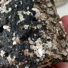 Bild in Galerie-Viewer laden, Black Tourmaline with Muscovite Rough #18