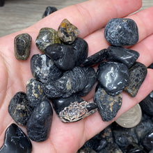 将图像加载到图库查看器中,Black Tourmaline Small Rough Tumbles