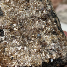 Bild in Galerie-Viewer laden, Black Tourmaline with Muscovite Rough #22