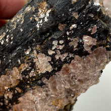 Bild in Galerie-Viewer laden, Black Tourmaline with Muscovite Rough #22