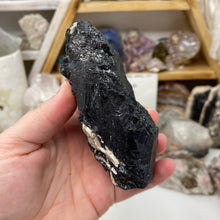 Load image into Gallery viewer, Black Tourmaline with Muscovite Rough #24
