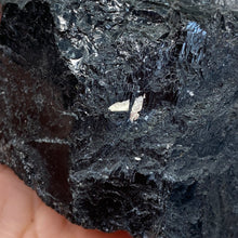 Load image into Gallery viewer, Black Tourmaline with Muscovite Rough #24