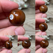 Load image into Gallery viewer, Petrified Wood 22mm Spheres
