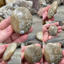 Load image into Gallery viewer, Fossilized Coral Pillow Palm Stones
