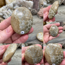 Carica l&#39;immagine nel visualizzatore di Gallery, Fossilized Coral Pillow Palm Stones
