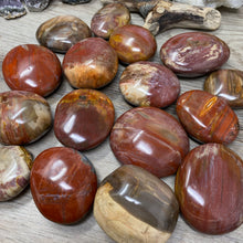Load image into Gallery viewer, Petrified Wood Palm Stones
