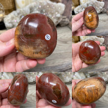 Load image into Gallery viewer, Petrified Wood Palm Stones
