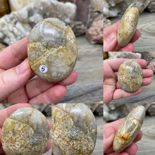 Load image into Gallery viewer, Fossilized Coral Pillow Palm Stones
