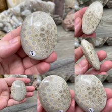 Carica l&#39;immagine nel visualizzatore di Gallery, Fossilized Coral Pillow Palm Stones
