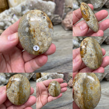 Load image into Gallery viewer, Fossilized Coral Pillow Palm Stones
