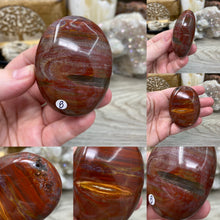 Load image into Gallery viewer, Petrified Wood Palm Stones
