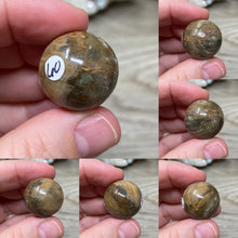 Load image into Gallery viewer, Petrified Wood 22mm Spheres
