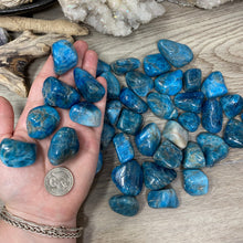 Load image into Gallery viewer, Blue Apatite Large Tumbles
