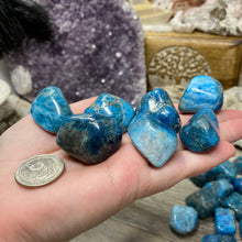 Load image into Gallery viewer, Blue Apatite Large Tumbles
