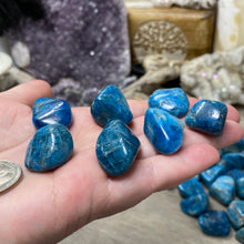 将图像加载到图库查看器中，Blue Apatite Medium Tumbles
