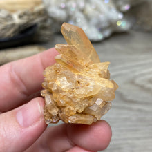 将图像加载到图库查看器中，Red / Tangerine Quartz Cluster #111
