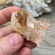 Load image into Gallery viewer, Red / Tangerine Quartz Cluster #120
