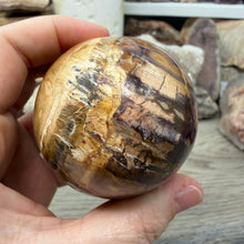 将图像加载到图库查看器中，Petrified Wood Large Egg
