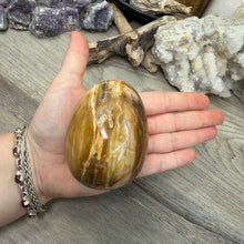 将图像加载到图库查看器中，Petrified Wood Large Egg

