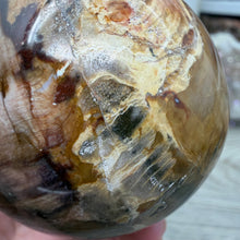 将图像加载到图库查看器中，Petrified Wood Large Egg
