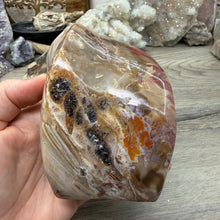 Bild in Galerie-Viewer laden, Petrified Wood Flame
