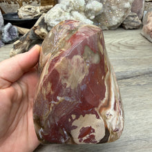 Bild in Galerie-Viewer laden, Petrified Wood Flame
