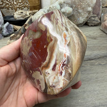 Bild in Galerie-Viewer laden, Petrified Wood Flame
