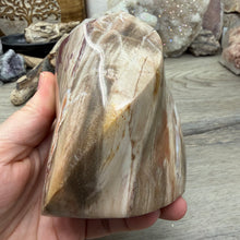 Bild in Galerie-Viewer laden, Petrified Wood Flame
