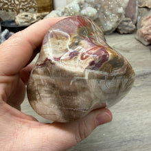 Bild in Galerie-Viewer laden, Petrified Wood Flame
