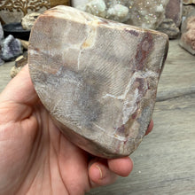 Bild in Galerie-Viewer laden, Petrified Wood Flame
