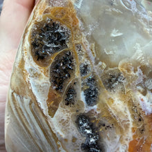 Bild in Galerie-Viewer laden, Petrified Wood Flame
