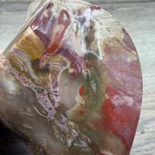 Bild in Galerie-Viewer laden, Petrified Wood Flame

