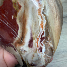 Bild in Galerie-Viewer laden, Petrified Wood Flame
