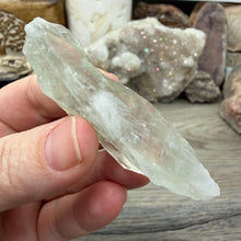 Bild in Galerie-Viewer laden, Prasiolite - Green Amethyst Rough #05
