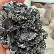 Load image into Gallery viewer, Hematite with Exposed Golden Rutile #02
