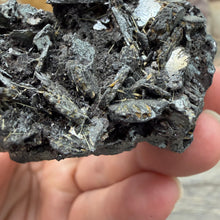 Load image into Gallery viewer, Hematite with Exposed Golden Rutile #02
