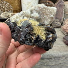Bild in Galerie-Viewer laden, Hematite with Exposed Golden Rutile #04
