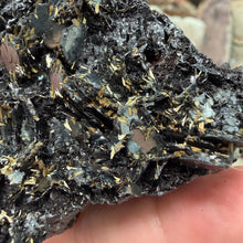 Bild in Galerie-Viewer laden, Hematite with Exposed Golden Rutile #04

