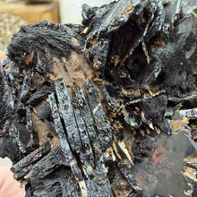 Bild in Galerie-Viewer laden, Hematite with Exposed Golden Rutile #05
