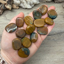 将图像加载到图库查看器中，Ocean Jasper Coin Size Pocket Stones
