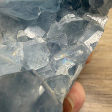 Carica l'immagine nel visualizzatore di Gallery, Celestite Semi-Polished Standing Freeform
