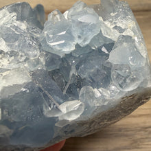 Carica l'immagine nel visualizzatore di Gallery, Celestite Semi-Polished Standing Freeform
