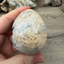 Load image into Gallery viewer, Celestite Semi-Polished Egg #05
