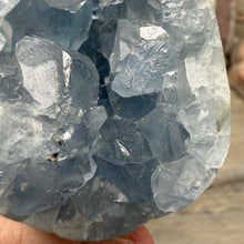 Load image into Gallery viewer, Celestite Semi-Polished Egg #02
